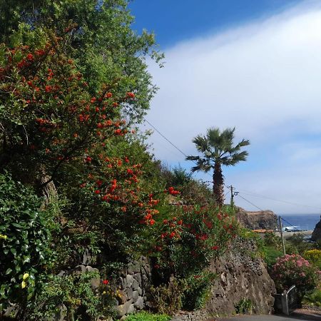Paraiso Resiliente サンタナ エクステリア 写真