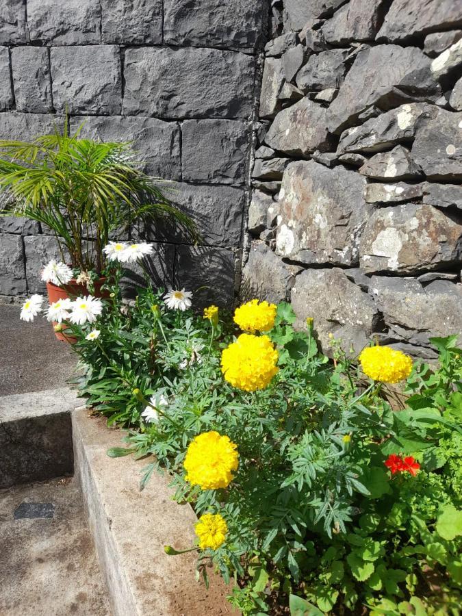 Paraiso Resiliente サンタナ エクステリア 写真