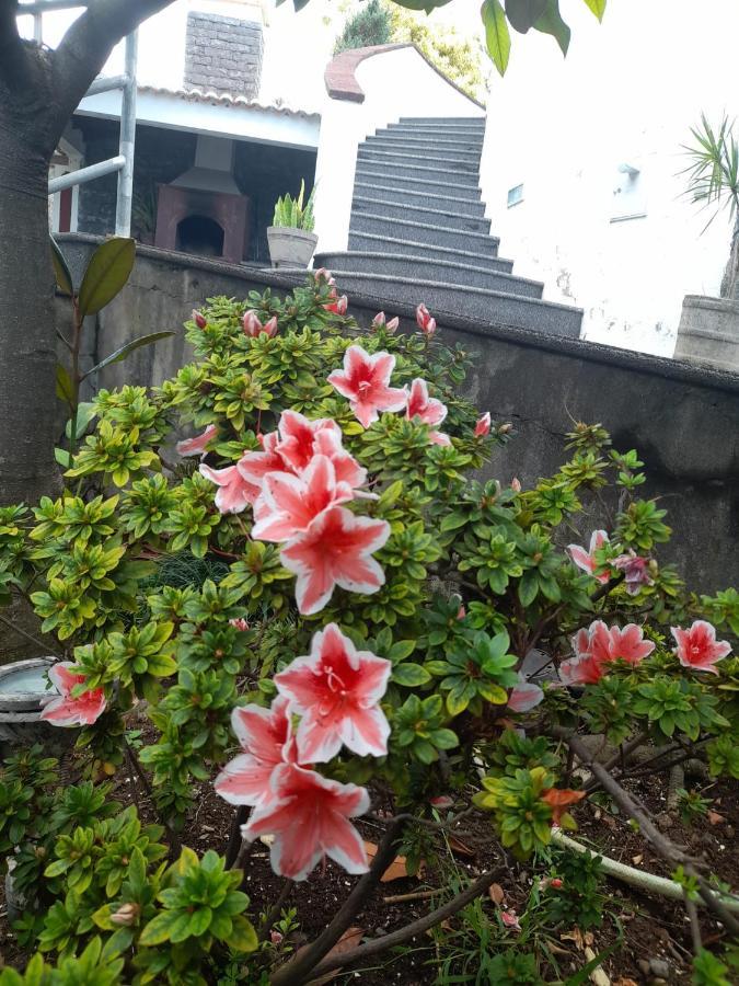 Paraiso Resiliente サンタナ エクステリア 写真